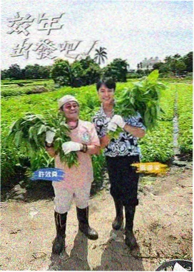 天台风很大剧照:天台舞台与城市落日